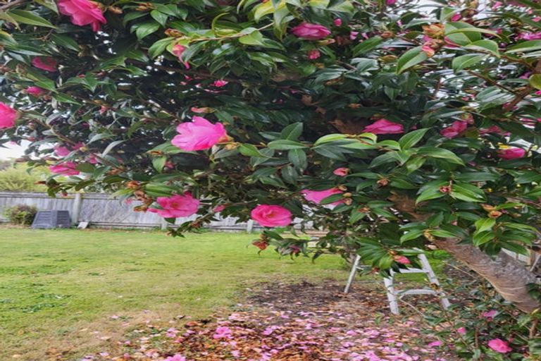 Photo of property in 1a Herrick Street, Marewa, Napier, 4110