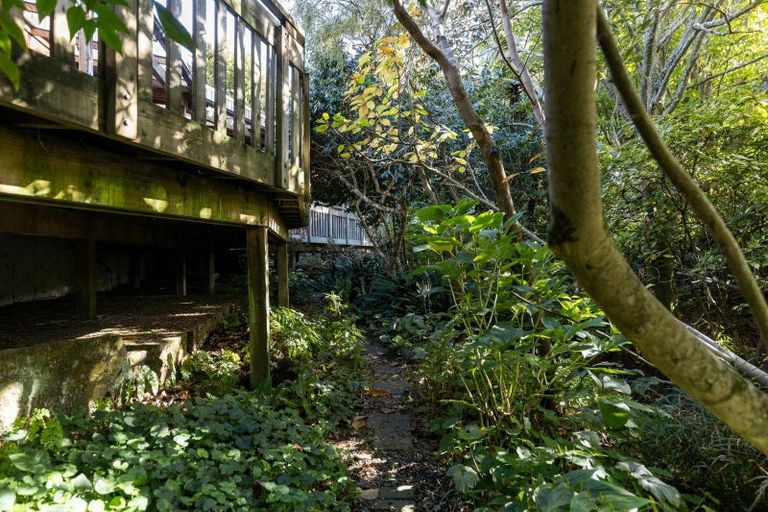 Photo of property in 22 Collingwood Street, Hokowhitu, Palmerston North, 4410