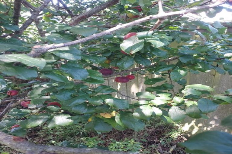 Photo of property in 6 Picton Avenue, Newtown, Wellington, 6021