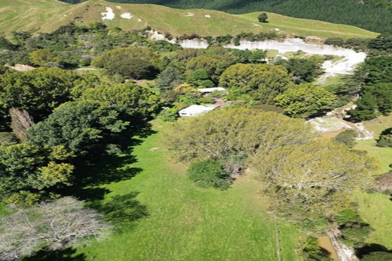 Photo of property in 199 Parihauhau Road, Parikino, Wanganui, 4575