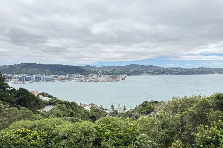 Photo of property in 38 Robieson Street, Roseneath, Wellington, 6011