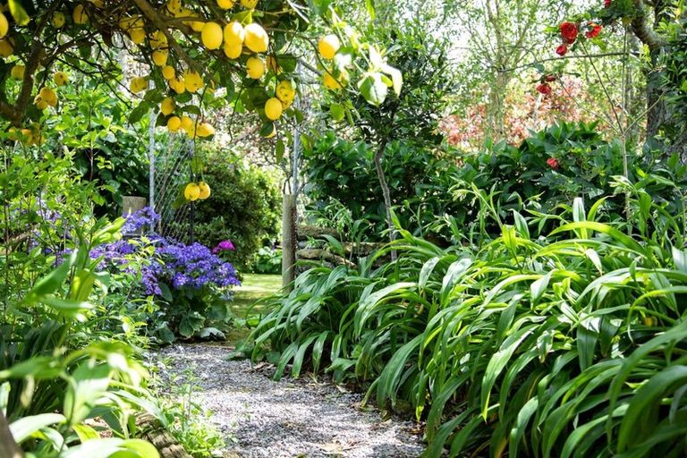 Photo of property in 248 Oeo Road, Otakeho, Hawera, 4678