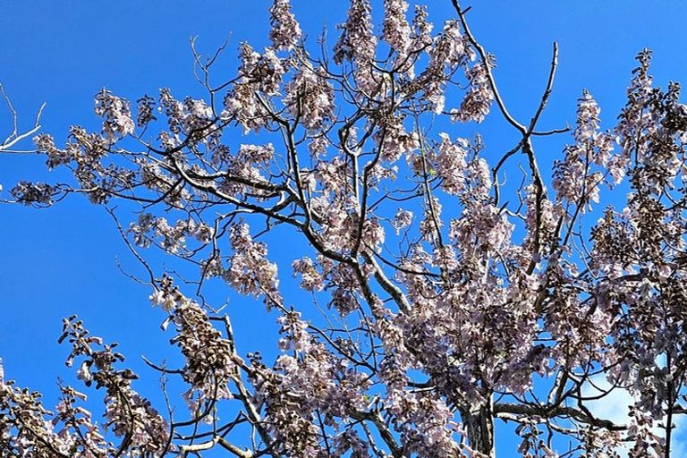 Photo of property in 1115 Horeke Road, Horeke, Okaihau, 0475