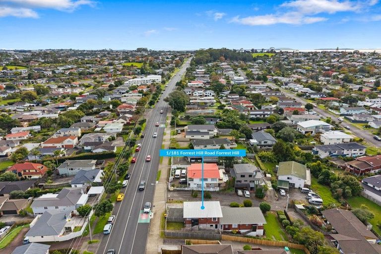Photo of property in 1/181 Forrest Hill Road, Forrest Hill, Auckland, 0620