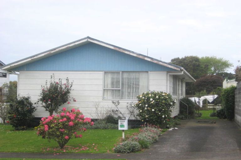 Photo of property in 12 Pleiades Street, Waitara, 4320