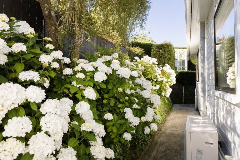 Photo of property in 4 District Road, Roseneath, Port Chalmers, 9023