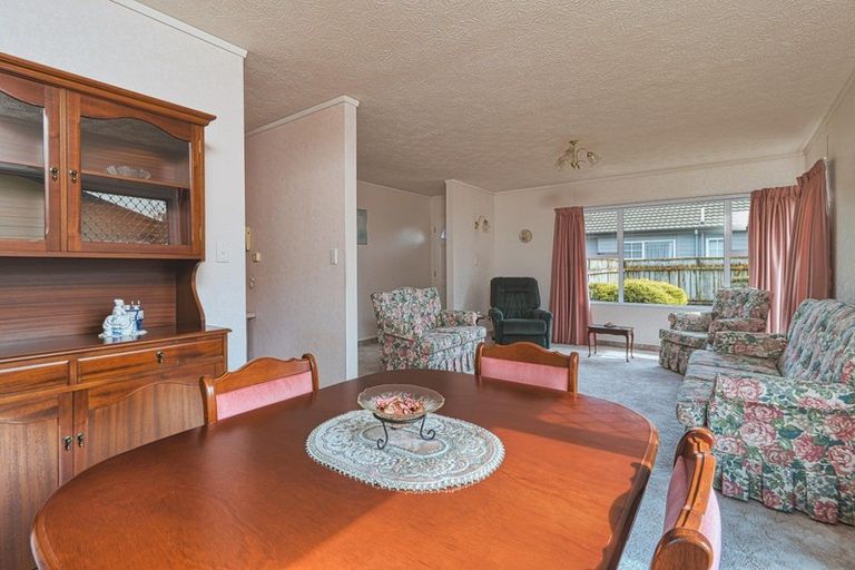 Photo of property in 117 Avondale Road, Greenmeadows, Napier, 4112
