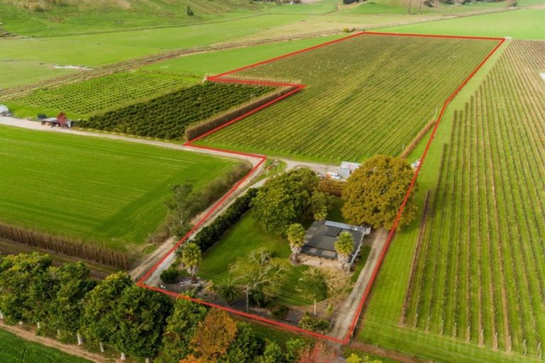 Photo of property in 144 Ngakoroa Road, Ormond, Gisborne, 4071