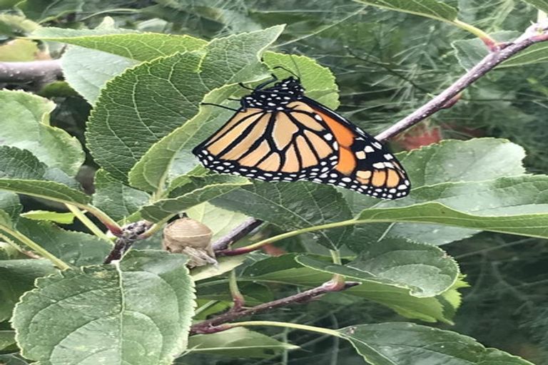 Photo of property in 10 Kings Avenue, Saint Kilda, Dunedin, 9012