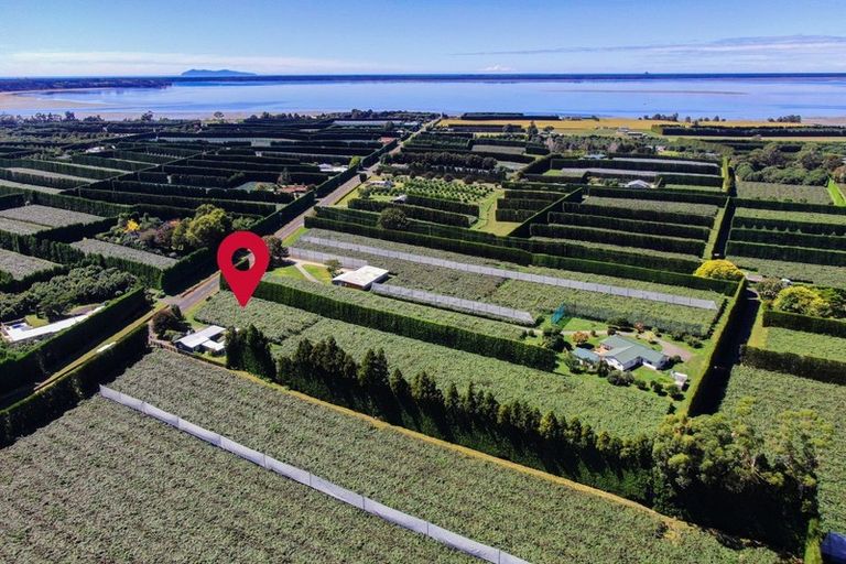 Photo of property in 186 Beach Road, Katikati, 3178