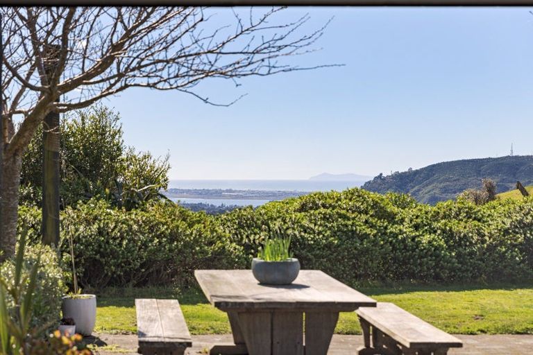 Photo of property in 566d Waitao Road, Waitao, Tauranga, 3175