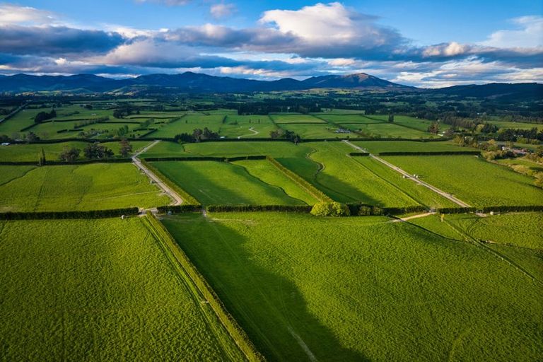 Photo of property in 105 Chapel Road, Loburn, 7472