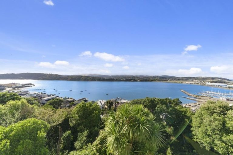 Photo of property in 43 Overtoun Terrace, Hataitai, Wellington, 6021