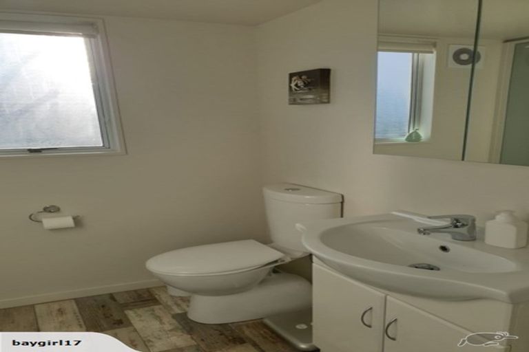 Photo of property in 111 North Shore Road, Eskdale, Napier, 4182