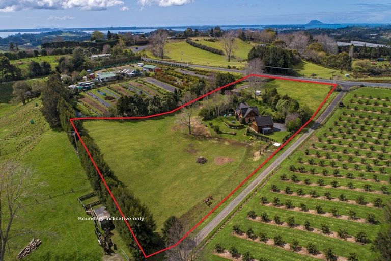 Photo of property in 204 Esdaile Road, Whakamarama, Tauranga, 3180