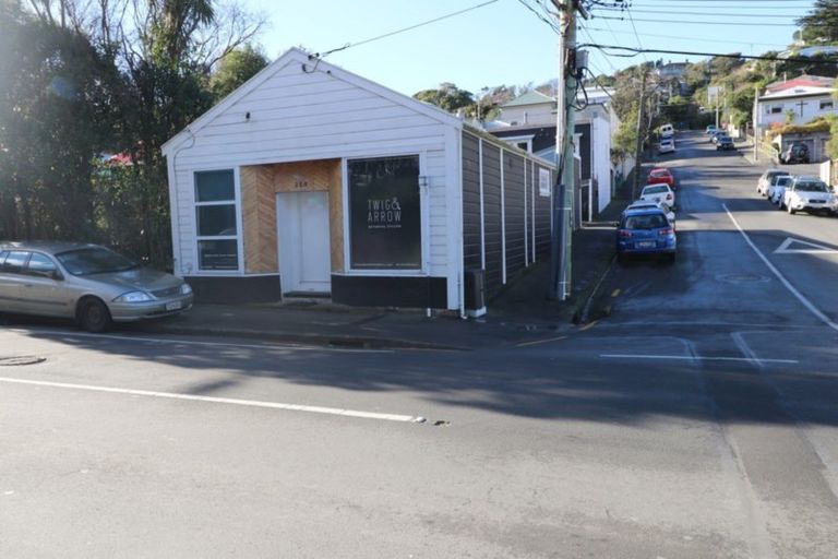 Photo of property in 259 Ohiro Road, Brooklyn, Wellington, 6021