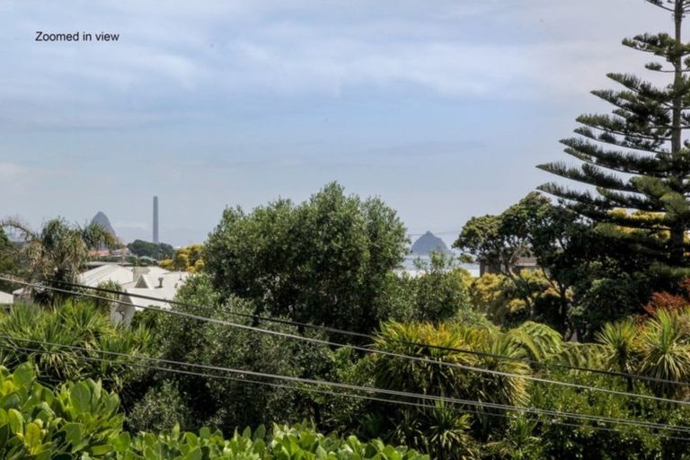 Photo of property in 28 Mclean Street, Strandon, New Plymouth, 4312