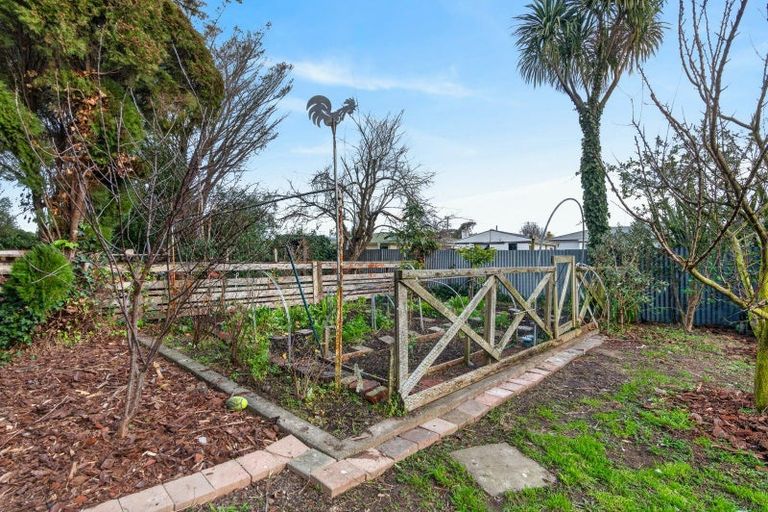 Photo of property in 137 Cockburn Street, Kuripuni, Masterton, 5810