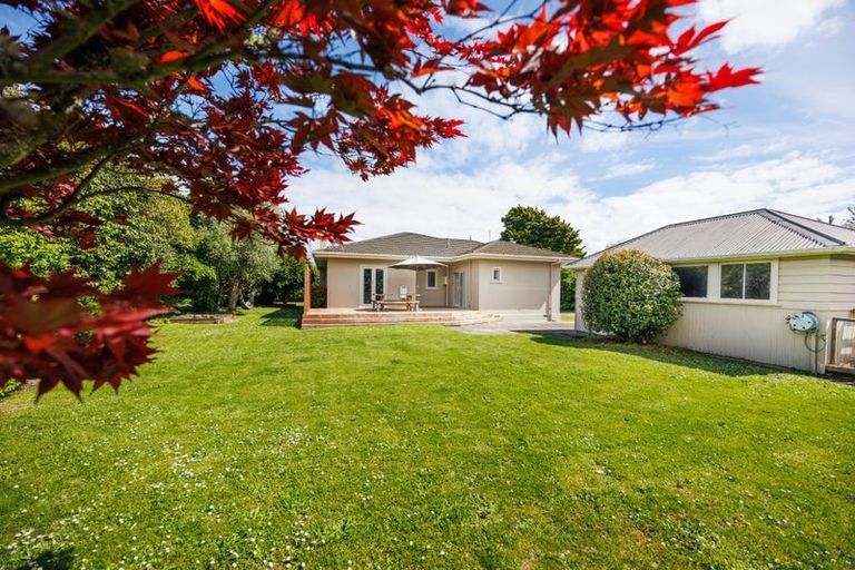 Photo of property in 12 Poole Street, Feilding, 4702