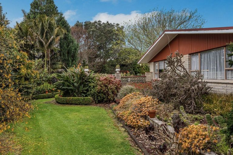 Photo of property in 187 Tablelands Road, Tirohanga, Opotiki, 3197