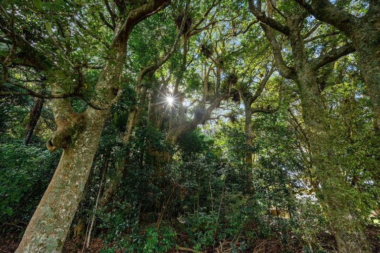 Photo of property in 26 Darligen Lane, Maunu, Whangarei, 0179