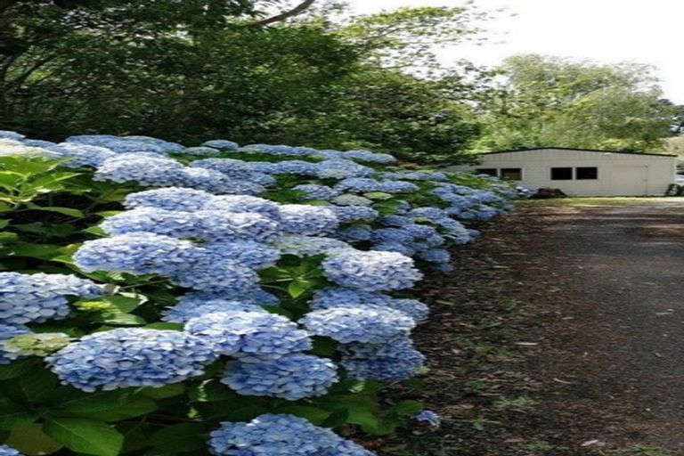 Photo of property in 65 Golding Road, Pukekohe, 2677