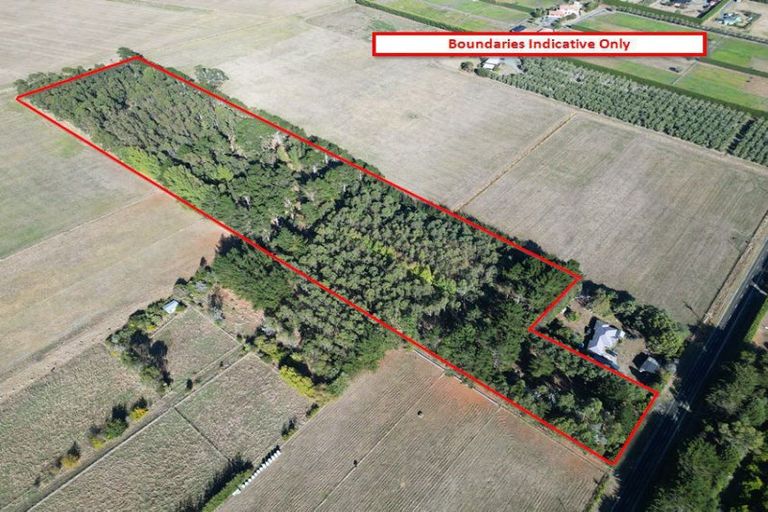 Photo of property in 270 Motuiti Road, Foxton, 4891