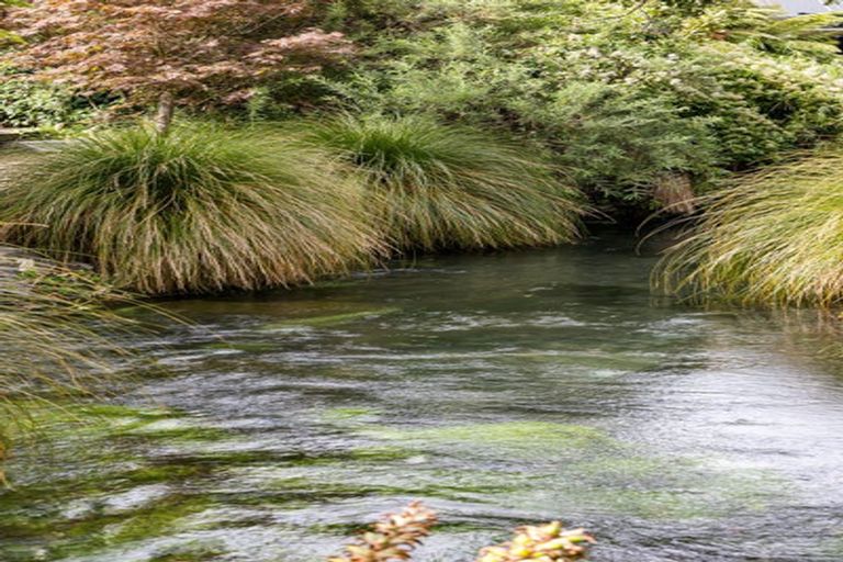 Photo of property in 9 Kotare Street, Fendalton, Christchurch, 8041