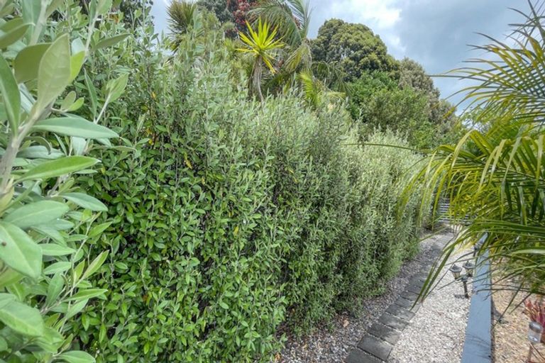 Photo of property in 672 Thames Coast Sh25 Road, Waiomu, Thames, 3575