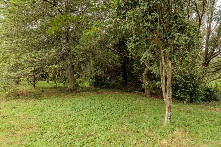 Photo of property in 47 Pook Road, Buckland, Pukekohe, 2677