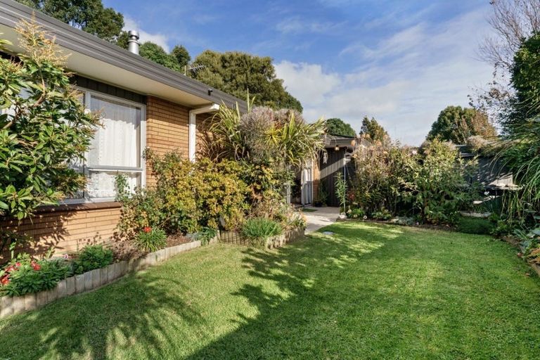 Photo of property in 279b Maungatapu Road, Maungatapu, Tauranga, 3112