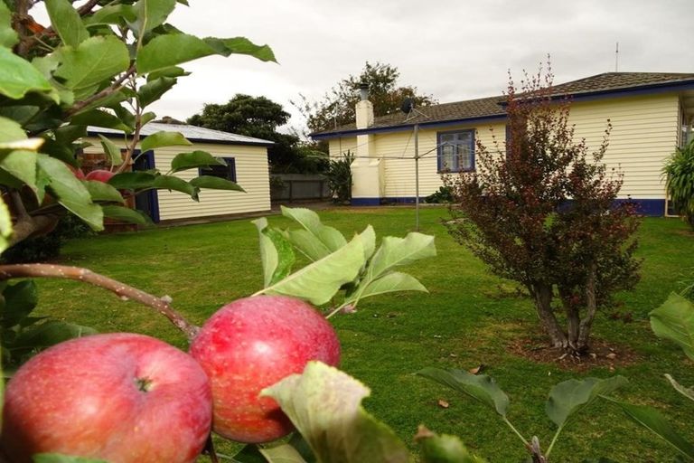 Photo of property in 802 Lane Street, Mahora, Hastings, 4120