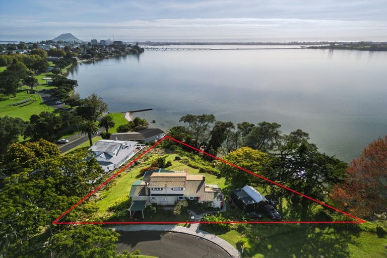 Photo of property in 1 Eleventh Avenue, Tauranga, 3110