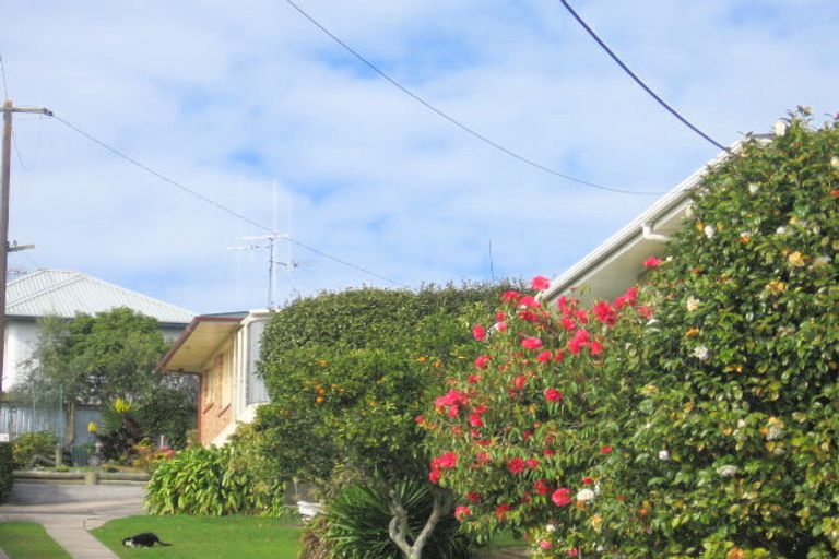 Photo of property in 19 Linley Terrace, Judea, Tauranga, 3110