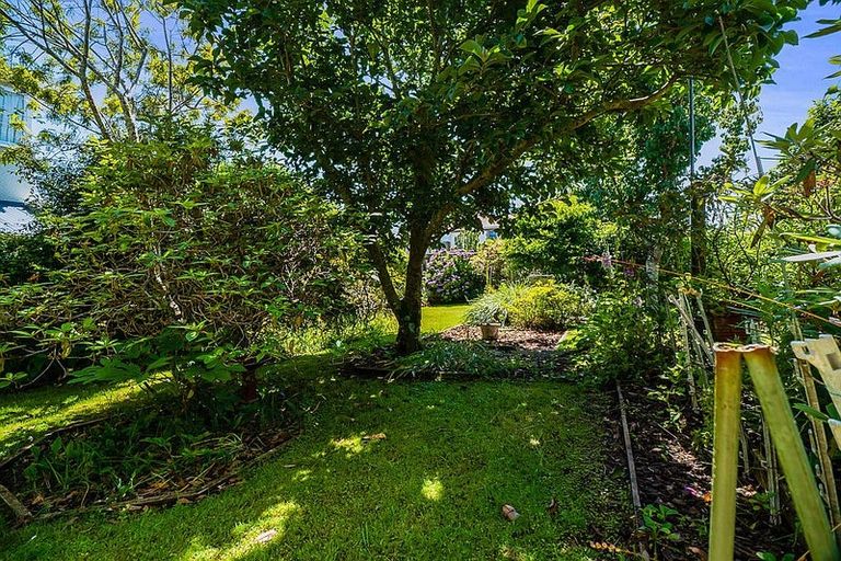 Photo of property in 33 Rogan Street, New Plymouth, 4310