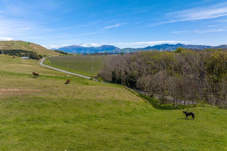 Photo of property in 59 Marama Road, Seddon, 7285