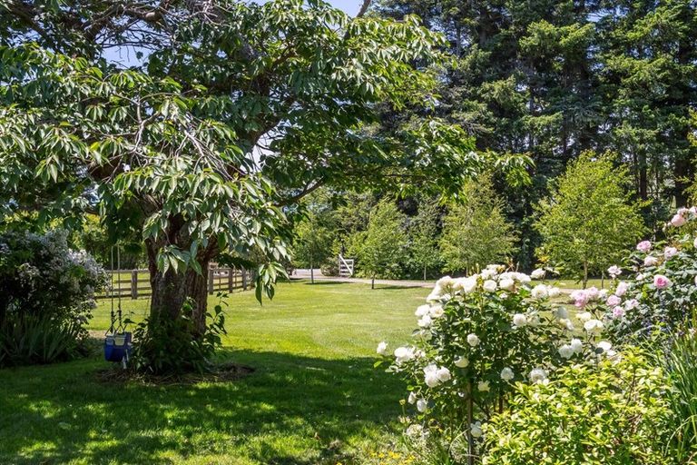 Photo of property in 414 Rakaiatai Road, Ormondville, Dannevirke, 4977