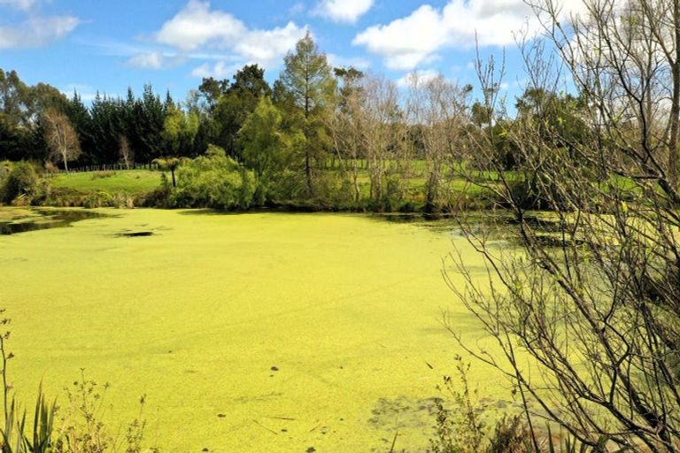 Photo of property in 70 Te Whanga Road, Levin, 5572