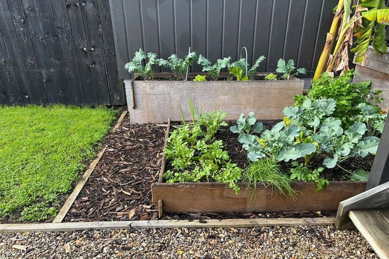 Photo of property in 13/1 Scott Road, Hobsonville, Auckland, 0616