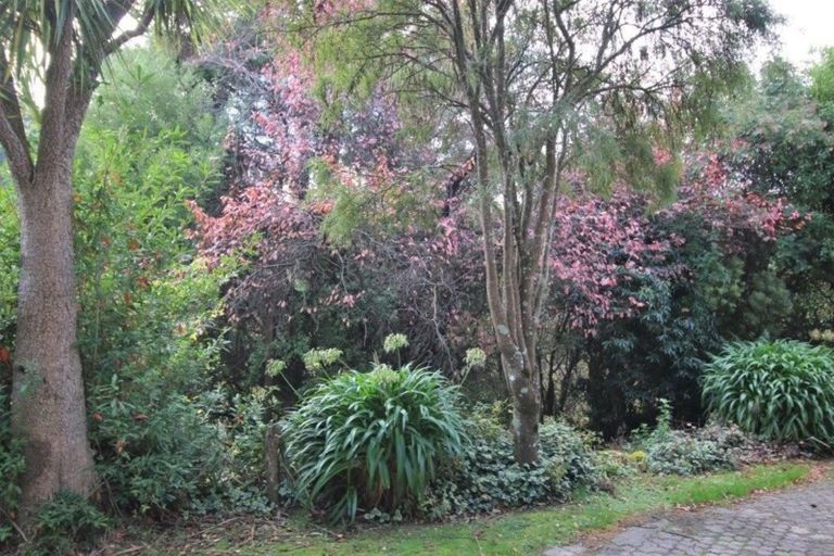 Photo of property in 31 Fulton Road, Glenleith, Dunedin, 9010