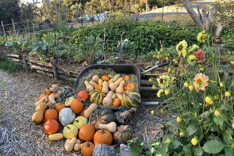 Photo of property in 480 Driving Creek Road, Coromandel, 3506