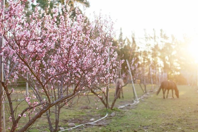 Photo of property in 65 Butterfield Road, Hawea Flat, 9382