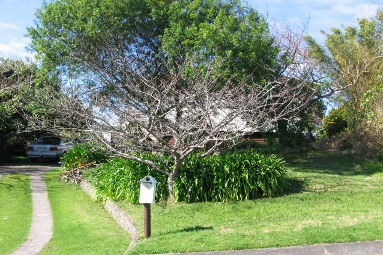 Photo of property in 6 Wikitoria Street, Maungatapu, Tauranga, 3112
