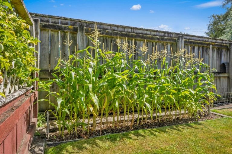 Photo of property in 20a Wilford Street, Wallaceville, Upper Hutt, 5018