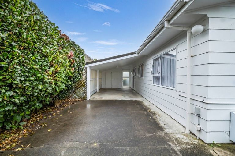Photo of property in 38a Saint Annes Street, Levin, 5510