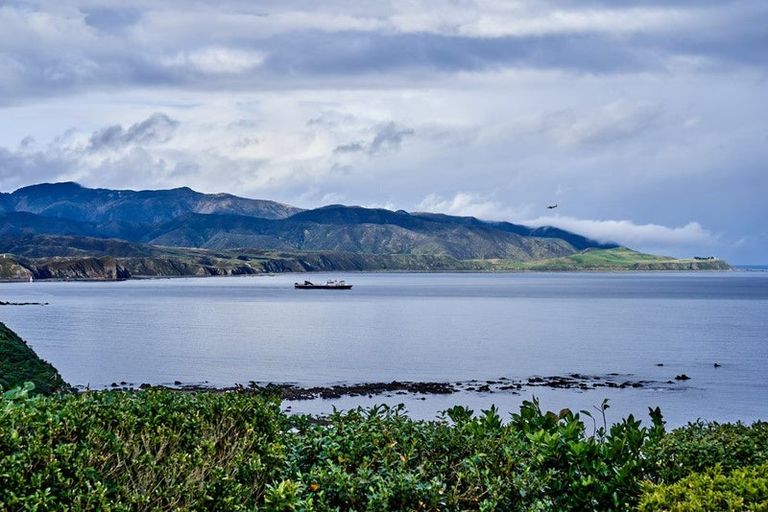 Photo of property in 215 Buckley Road, Southgate, Wellington, 6023