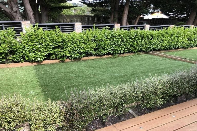 Photo of property in 22 Burgess Road, Johnsonville, Wellington, 6037