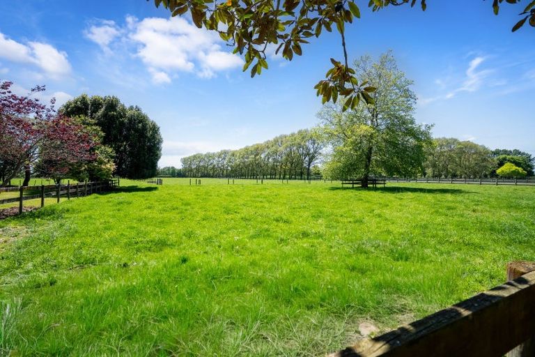 Photo of property in 446 Mystery Creek Road, Ohaupo, 3881