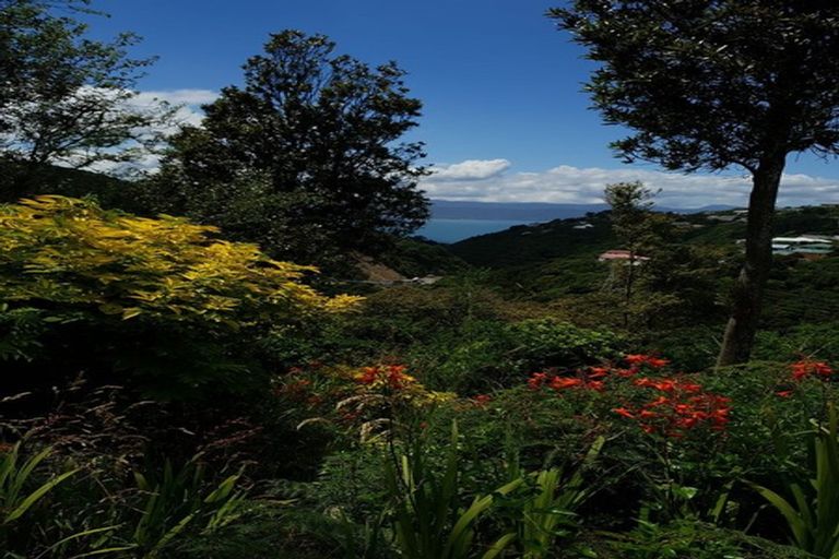 Photo of property in 53 Ngaio Gorge Road, Ngaio, Wellington, 6035