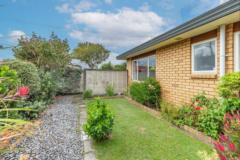 Photo of property in 26 Duke Street, Levin, 5510